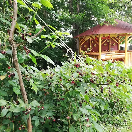 Villa Casa Veveritelor *