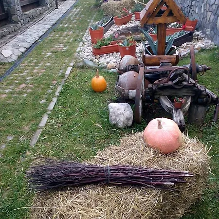 Villa Casa Veveritelor Bran (Brasov)