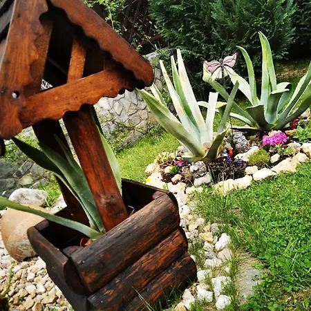 Villa Casa Veveritelor Bran (Brasov)